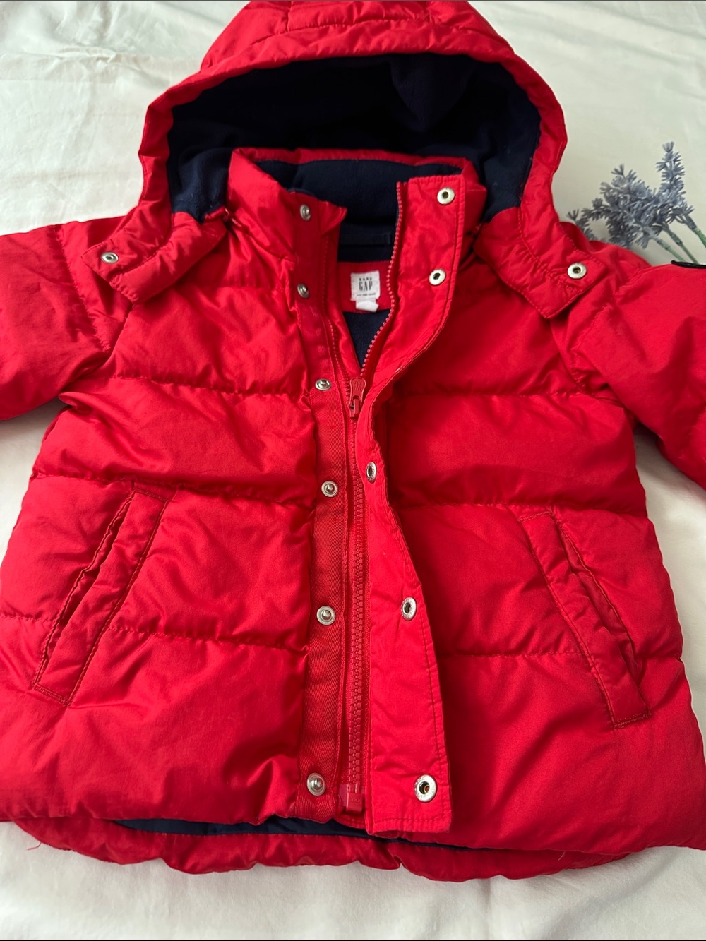 GAP Bright Red Hooded Puffer Coat for Kids - Picture 3 of 10